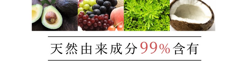 锧Y݂̋~y@̃I[CΌzTCg